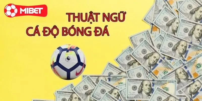 Tổng Hợp Các Thuật Ngữ Cá Độ Bóng Đá Cơ Bản Bet Thủ Cần Nắm